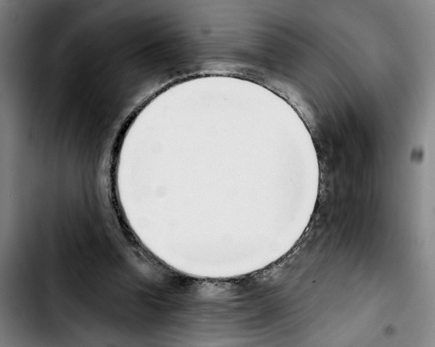 X0000103440346200810241126