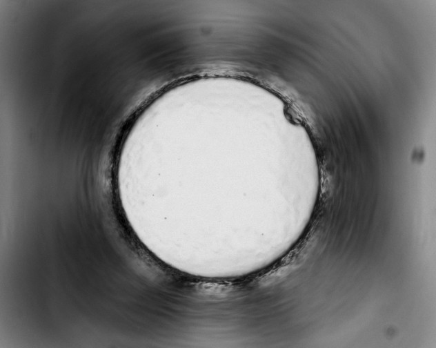 X0000103440347200810241126