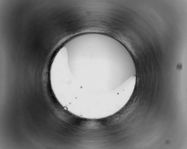X0000103440348200810241126