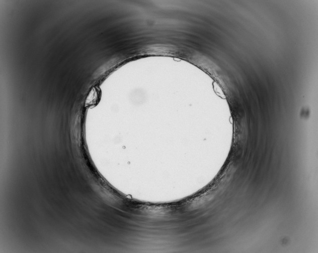 X0000103440349200810241126