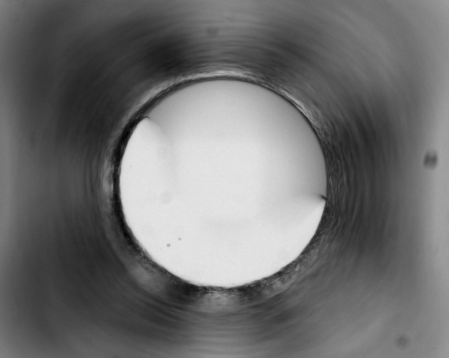 X0000103440350200810241126