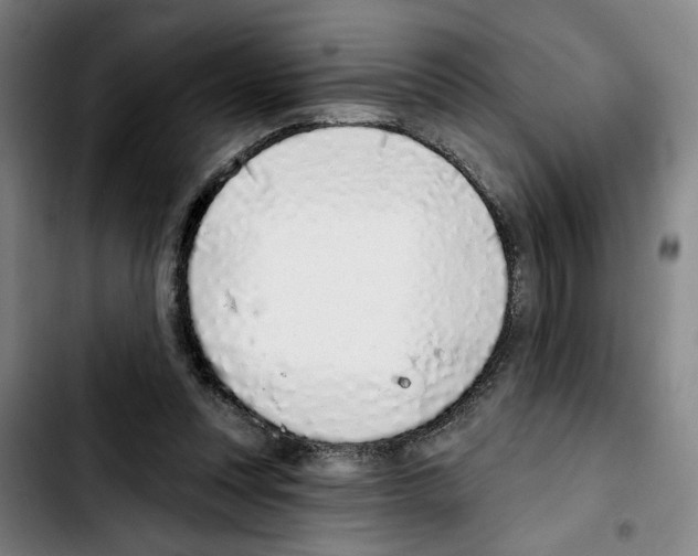 X0000103440351200810241126