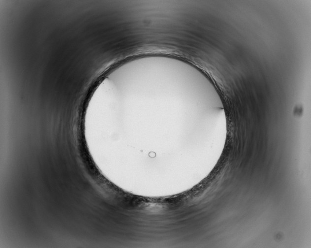 X0000103440352200810241126