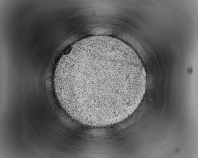 X0000103440353200810241126