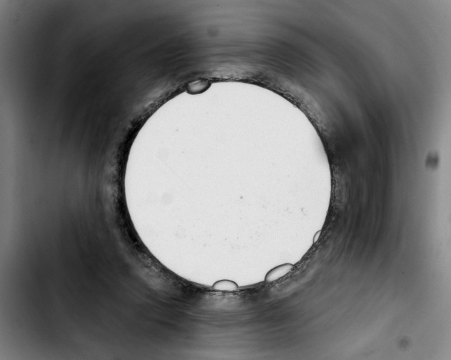 X0000103440354200810241126