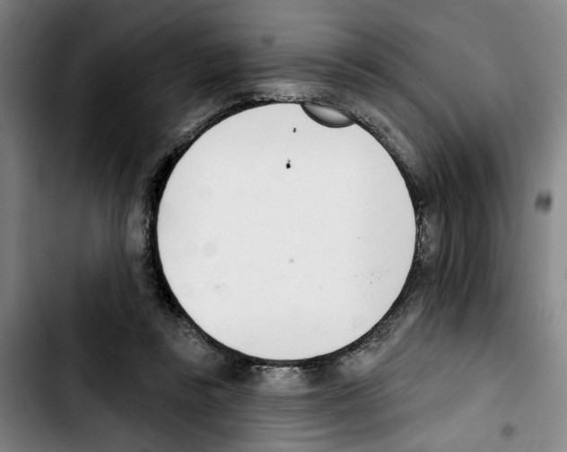 X0000103440355200810241126