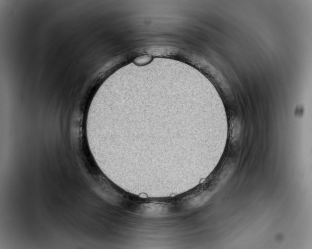 X0000103440356200810241126
