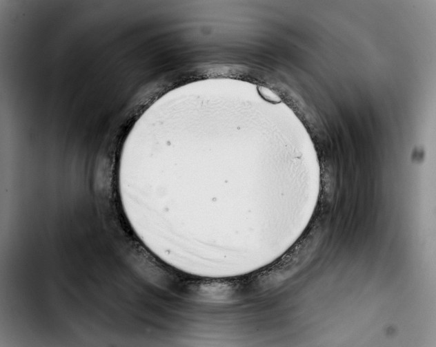 X0000103440357200810241126