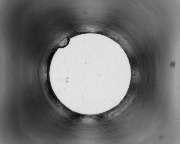 X0000103440358200810241126