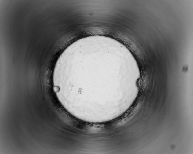 X0000103440359200810241126