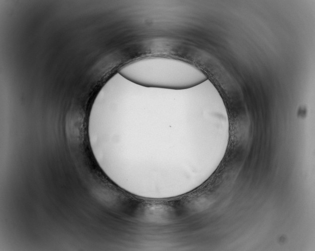 X0000103440360200810241126