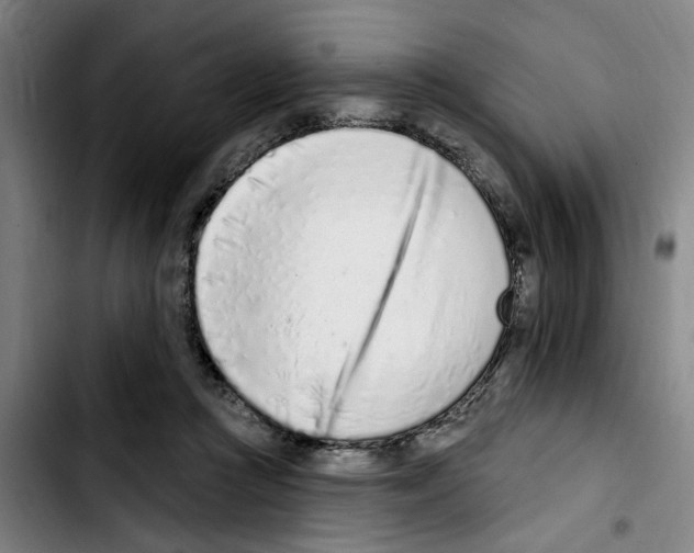 X0000103440361200810241126