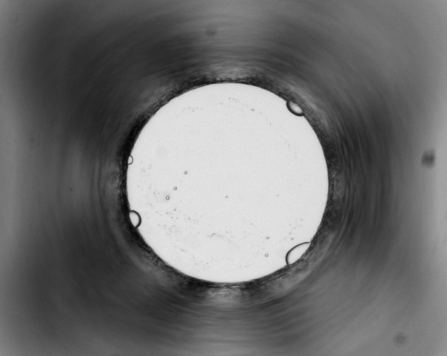 X0000103440362200810241126