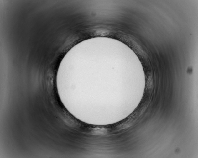 X0000103440363200810241126