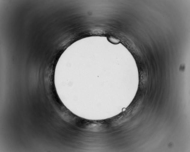 X0000103440364200810241126