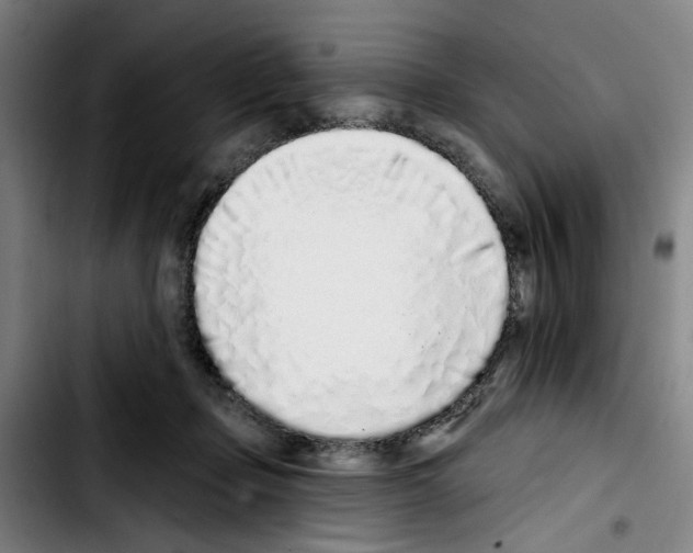 X0000103440365200810241126