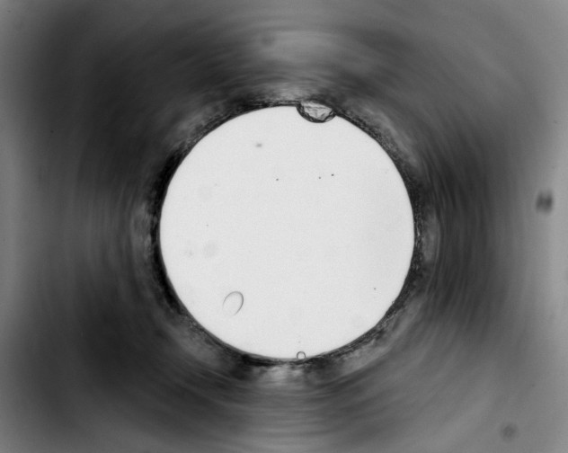 X0000103440366200810241127