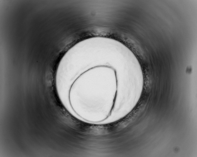 X0000103440367200810241127