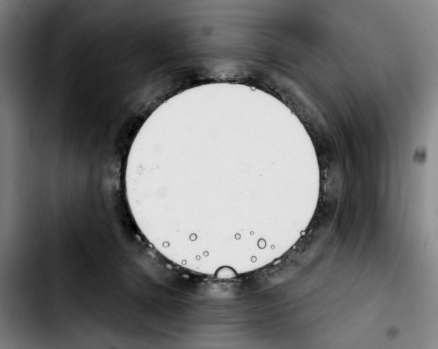 X0000103440368200810241127