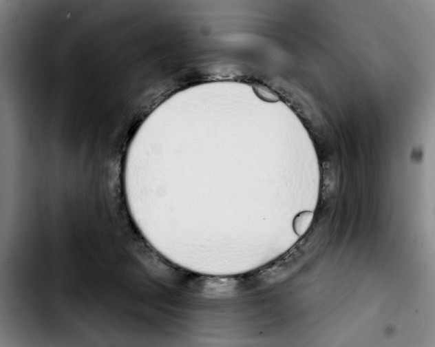 X0000103440369200810241127