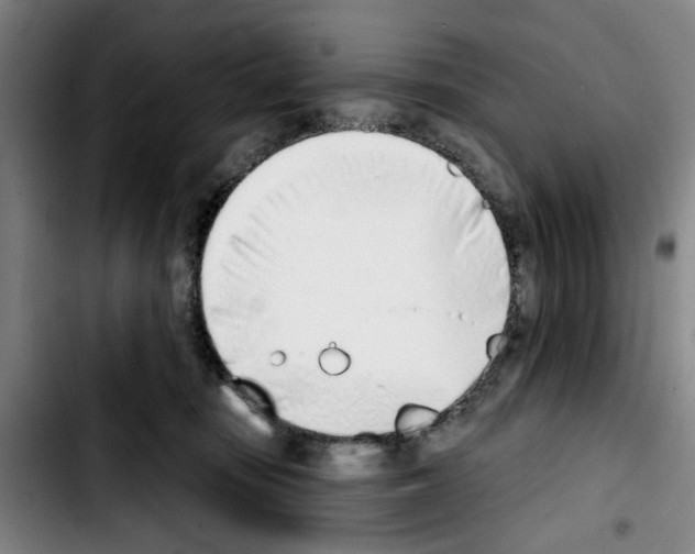 X0000103440371200810241127