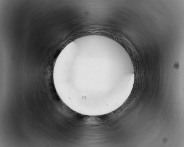 X0000103440372200810241127