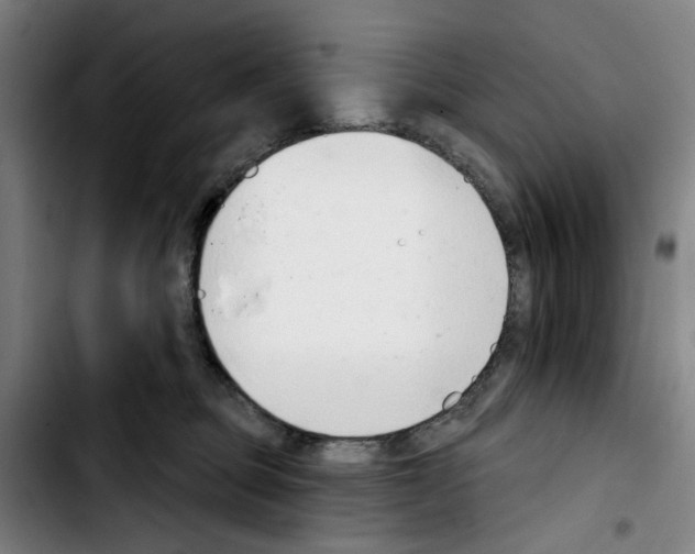 X0000103440373200810241127