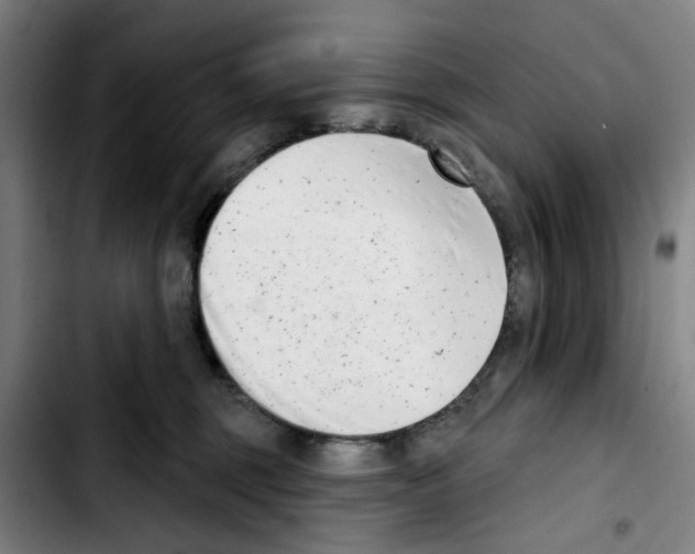 X0000103440375200810241127