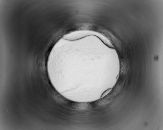 X0000103440377200810241127