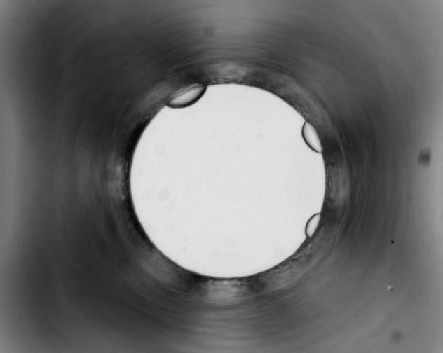 X0000103440378200810241127