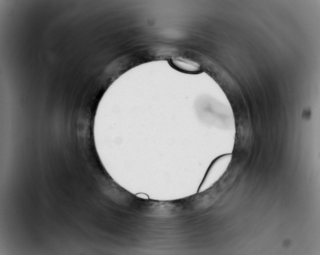 X0000103440379200810241127