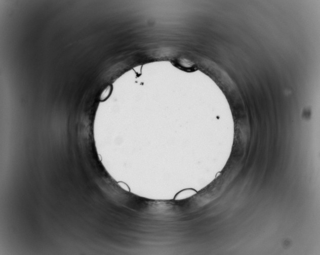 X0000103440380200810241127