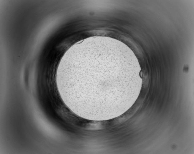 X0000103440381200810241127
