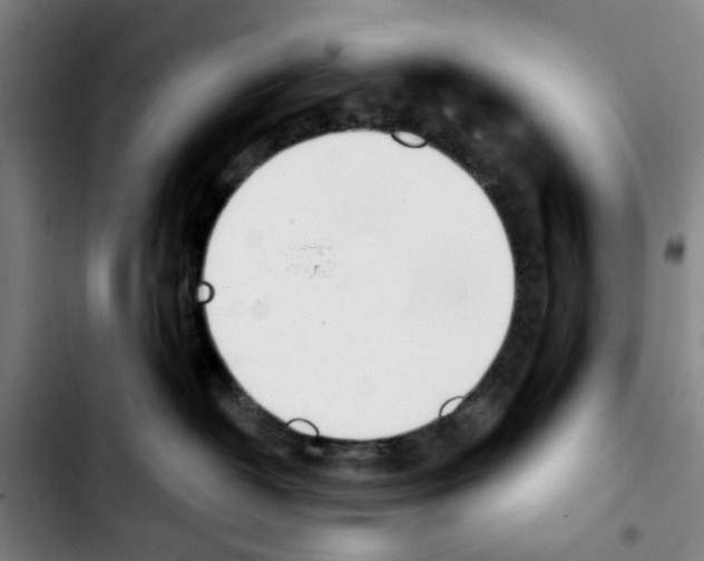 X0000103440382200810241127