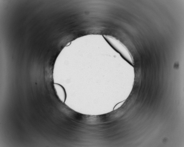 X0000103440383200810241127