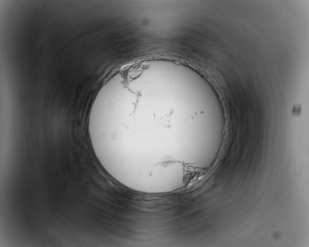 X0000103440384200810241127