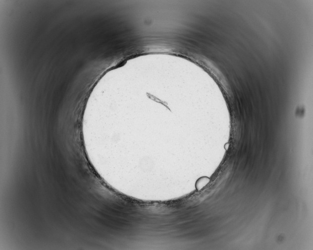X0000103440385200810241126