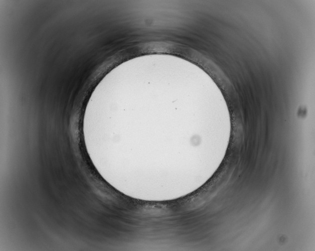X0000103440386200810241126