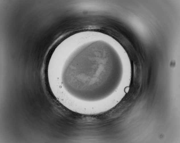 X0000103440387200810241126