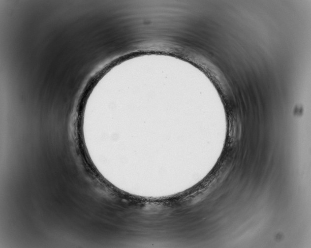 X0000103440388200810241126