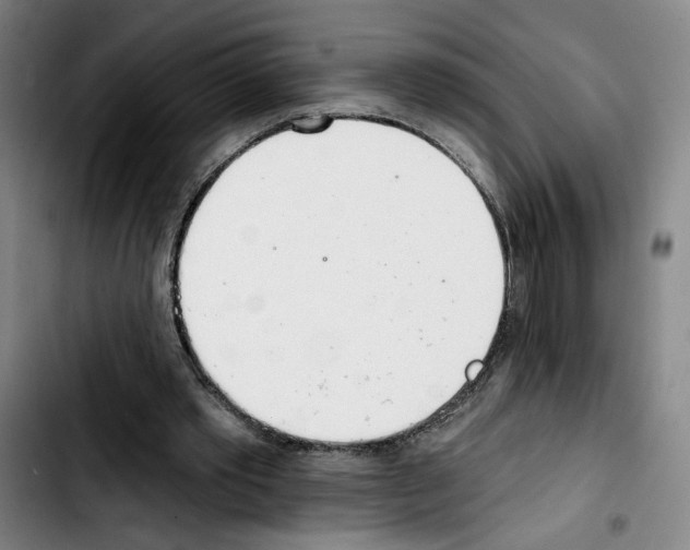 X0000103440389200810241126