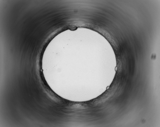 X0000103440390200810241126