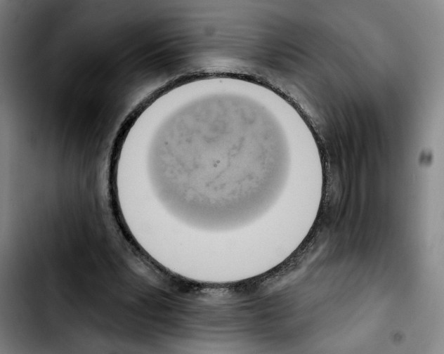 X0000103440391200810241126