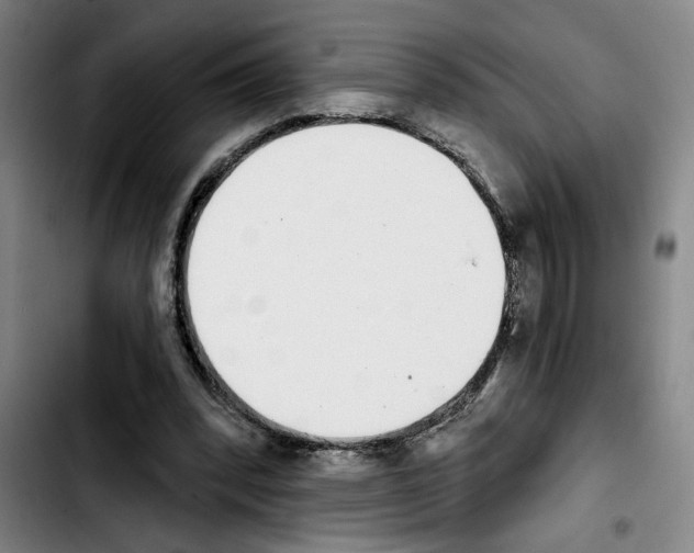 X0000103440392200810241126