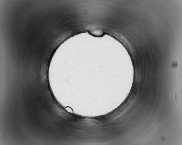 X0000103440393200810241126