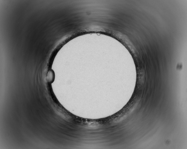 X0000103440395200810241126