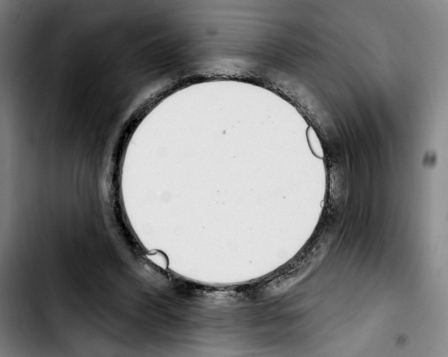 X0000103440396200810241126