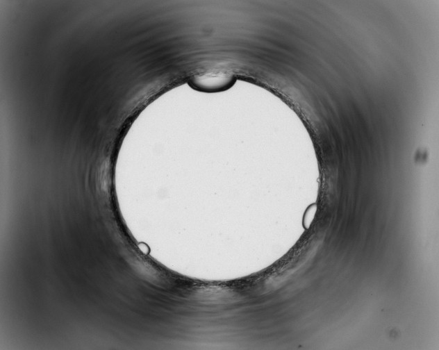 X0000103440397200810241126