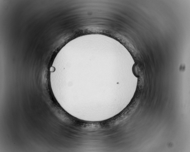 X0000103440398200810241126