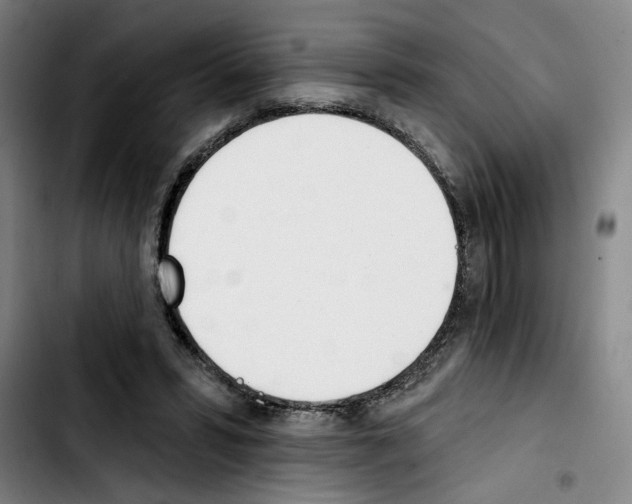 X0000103440399200810241126